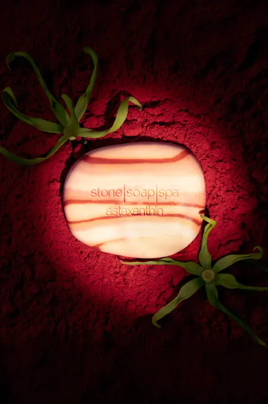 Såpestykke Astaxanthin